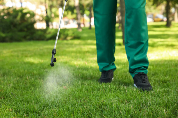 Best Pest Prevention Services  in South Miami, FL