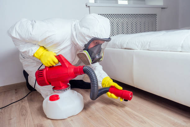 Best Best Pest Control Companies  in South Miami, FL