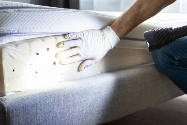 Best Pest Control Near Me  in South Miami, FL